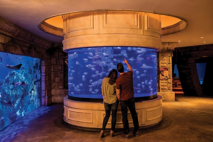 Shark Reef At Mandalay Bay Hotel And Casino - thumb 2