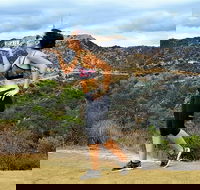 Griffith Observatory Hike Hollywood Hills Walk in Griffith Park - Accommodation Missouri