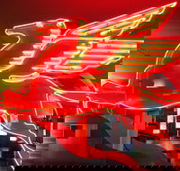 JFK Food and Culture Tour in Dallas - Accommodation Missouri