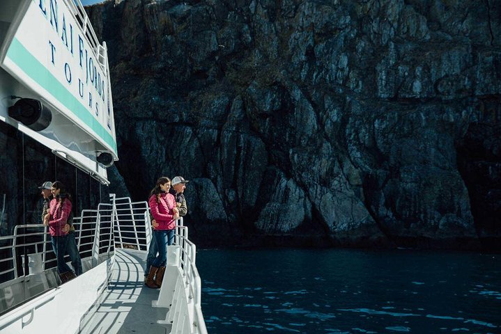 Gray Whale Watch Tour