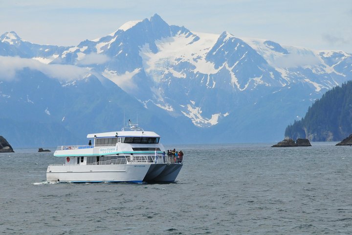 Northwestern Fjord Sightseeing Cruise from Seward