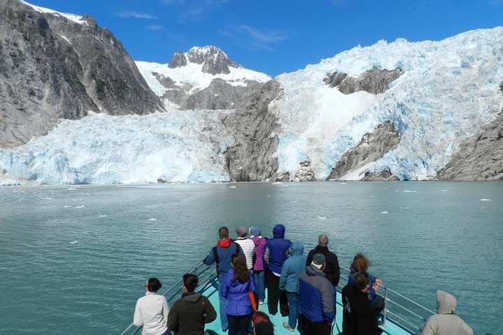 Seward Shore Excursion Pre- or Post-Cruise Kenai Fjords National Park Tour
