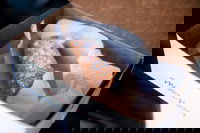 Assoc Of Marian Helpers Ma Accommodation Missouri