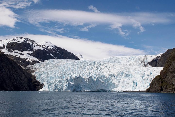 Full-Day Kenai Fjords National Park Cruise