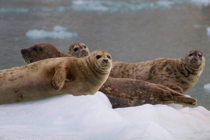 Book Viator Accommodation Vacations, Accommodation Missouri Accommodation Missouri