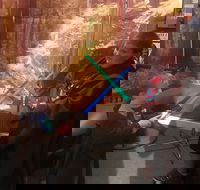 Galaxy Connection General Admission - Accommodation Missouri