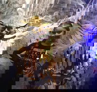 VIP Tour- The Galaxy Connection - Accommodation Missouri