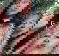 Participate in a Fun Scavenger Hunt in Little Rock by Zombie Scavengers - Accommodation Missouri