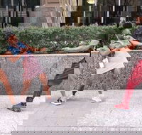 Little Rock City Scavenger Hunt Excursion by Operation City Quest - Accommodation Missouri