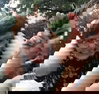 Little Rock City Scavenger Hunt Excursion by Wacky Walks - Accommodation Missouri