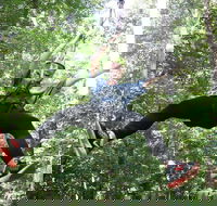 10 Zip Line Zip Tour 1.5 hours - Accommodation Missouri