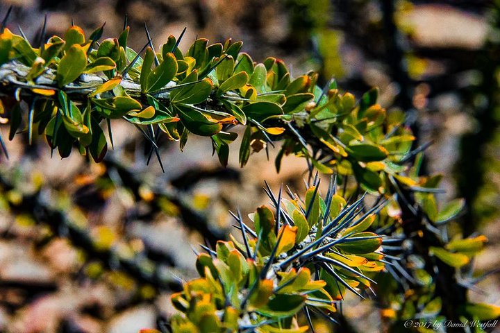 4-Hour Western Culture And Sunset Photography Workshop - thumb 0