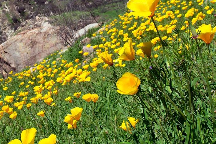 If You Hike, Bike, Rock Climb Or Play Tennis, Trails By Potter Are Your Guides! - thumb 4