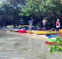 Guided Mangrove Tunnel Kayak Tour - Accommodation Missouri