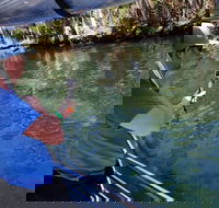 Manatee Viewing Cruise - Accommodation Missouri