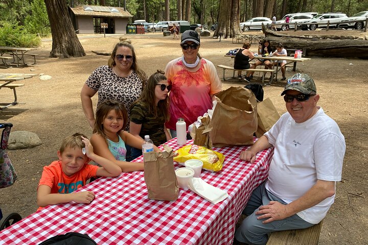 Private Family Photo Day In Yosemite - thumb 0
