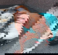 Fun City Scavenger Hunt in Hartford by Zombie Scavengers - Accommodation Missouri