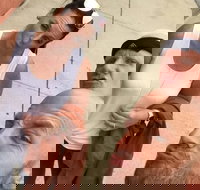 Explore Hartford with a Unique Scavenger Hunt by Crazy Dash - Accommodation Missouri