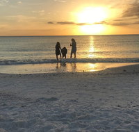 Half-Day Private Sarasota Charter Tour with Wildlife Watching - Accommodation Missouri