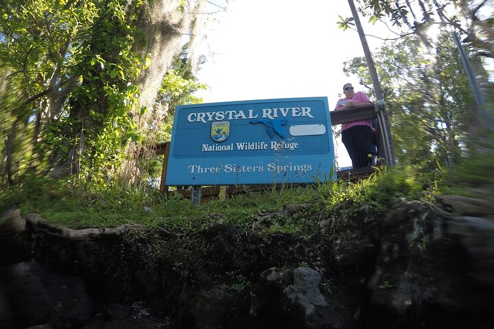 Small Group Manatee Snorkeling Tour With In Water Guide - thumb 2