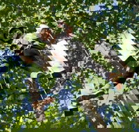 Fields of Fire Adventure Park Admission Ticket - Accommodation Missouri