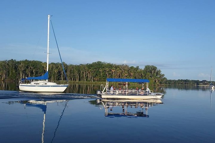 Kings Bay Scenic Cruise From Crystal River - thumb 5