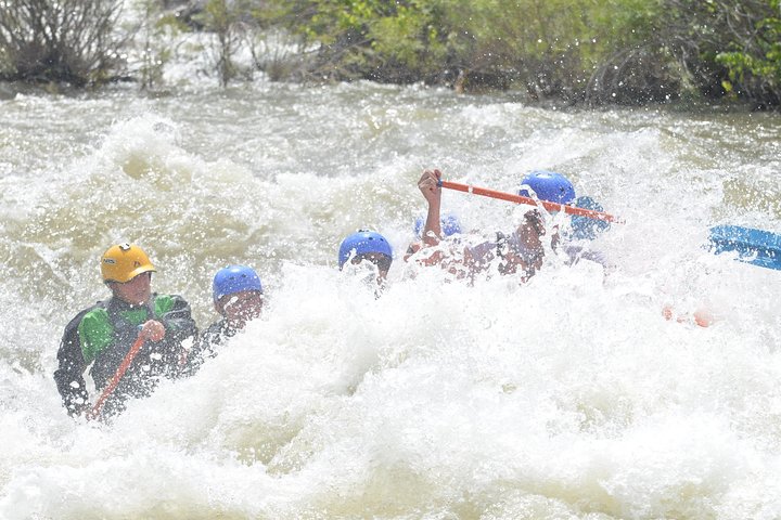 Royal Gorge Full-Day Rafting Trip