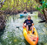 Kayak Tour through Mangrove Tunnels - Accommodation Missouri