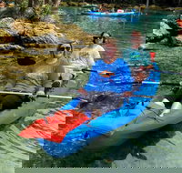 Full Day Tandem Kayak Rental For Two People In Crystal River Florida - Accommodation Missouri