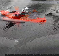 4 Hour Single Kayak Rental In Crystal River Florida - Accommodation Missouri