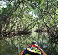 Lido Key Mangrove Tunnels Kayak Tour - Accommodation Missouri