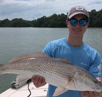 4-Hour Private Inshore Fishing Trip in Sarasota - Accommodation Missouri