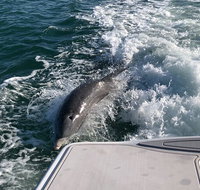 Parasailing Adventure in Anna Maria Island - Accommodation Missouri