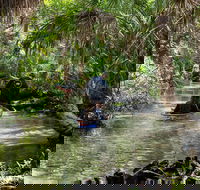 Clear Kayak Tours on Chassahowitzka River - Accommodation Missouri
