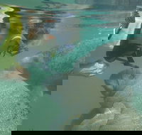 Deluxe Manatee Swim Tour - Accommodation Missouri