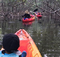 Kayak and Stand Up Paddleboard Rentals at Lido Mangrove Tunnels - Accommodation Missouri