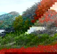 Narrated Bus Tour of Bar Harbor and Acadia National Park Classic - 2.5 Hours - Accommodation Missouri