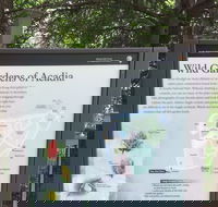 Premium Narrated Bus Tour of Bar Harbor and Acadia National Park 3.5 Hours - Accommodation Missouri