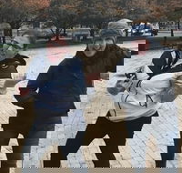 Adventurous Scavenger Hunt in Ann Arbor by Zombie Scavengers - Accommodation Missouri