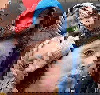 Adventurous Scavenger Hunt in Detroit by Zombie Scavengers - Accommodation Missouri