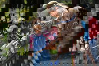 Arkansas Louisiana Gas La Accommodation Missouri