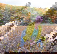 Guided Foraging - Mushroom Hunting Experiences - Accommodation Missouri