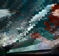 SEA LIFE Michigan Aquarium Admission Ticket - Accommodation Missouri