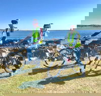 3.5hrs Coastal Tour Visit the Coastline Tucked Away Seaside Villages Mansions - Accommodation Missouri