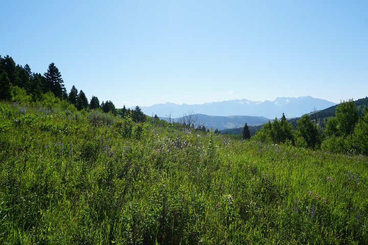 Hike to Chimney Rock with an Enthusiastic Tour Guide