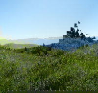 Hike to Chimney Rock with an Enthusiastic Tour Guide - Accommodation Missouri