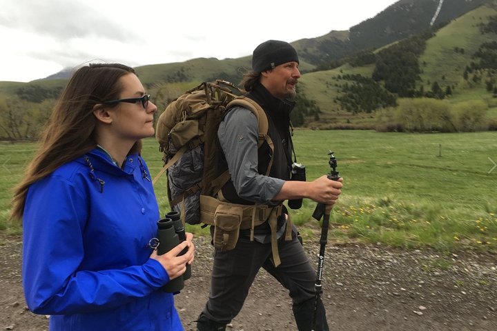 Sundowner Grizzly Excursion Tour