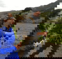 Sundowner Grizzly Excursion Tour - Accommodation Missouri