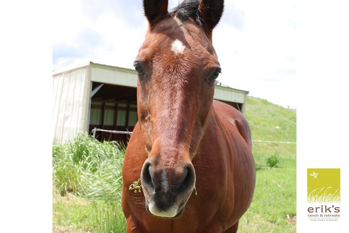 Keep Calm and Brush On