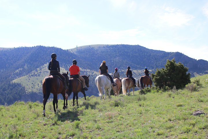 Erik's Ranch Property Trail Ride On The Countryside Of Montana - thumb 1
